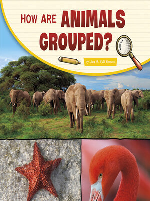 cover image of How Are Animals Grouped?